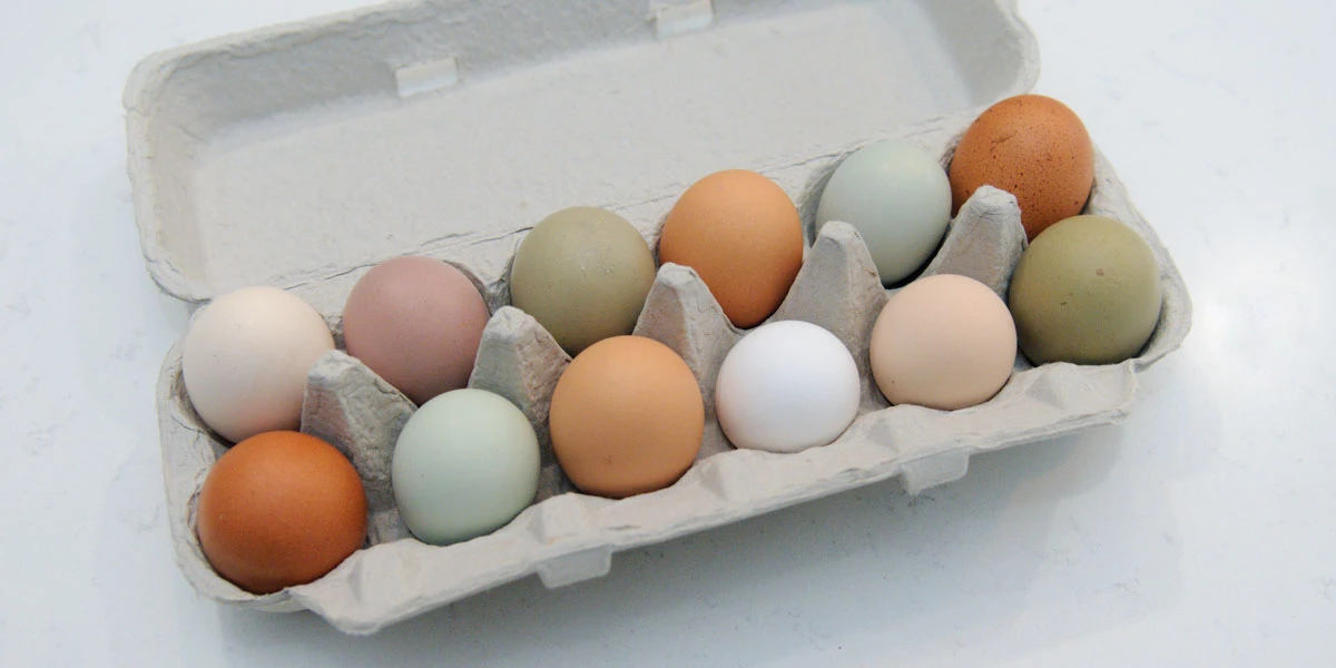 A Carton Filled with Colorful Eggs