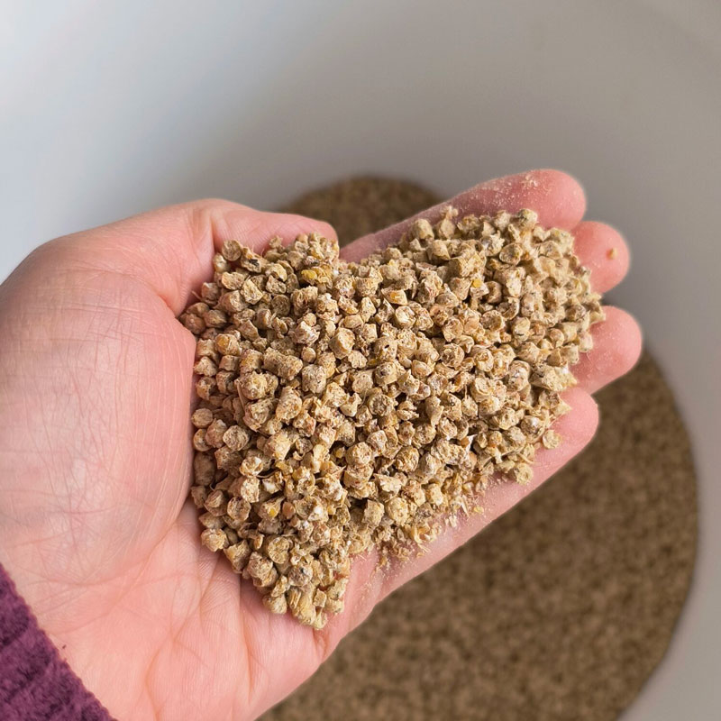 Chicken feed.