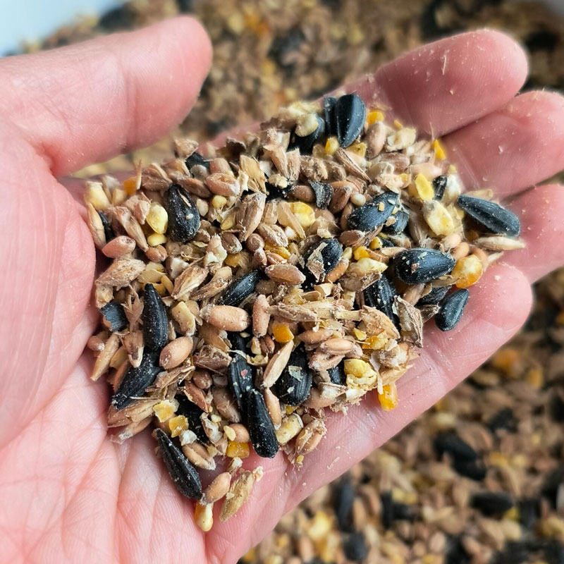 Scratch grains.