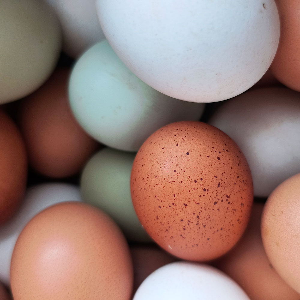 A lot of colorful eggs.