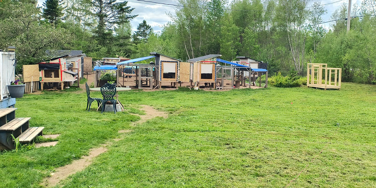 Chicken Coops