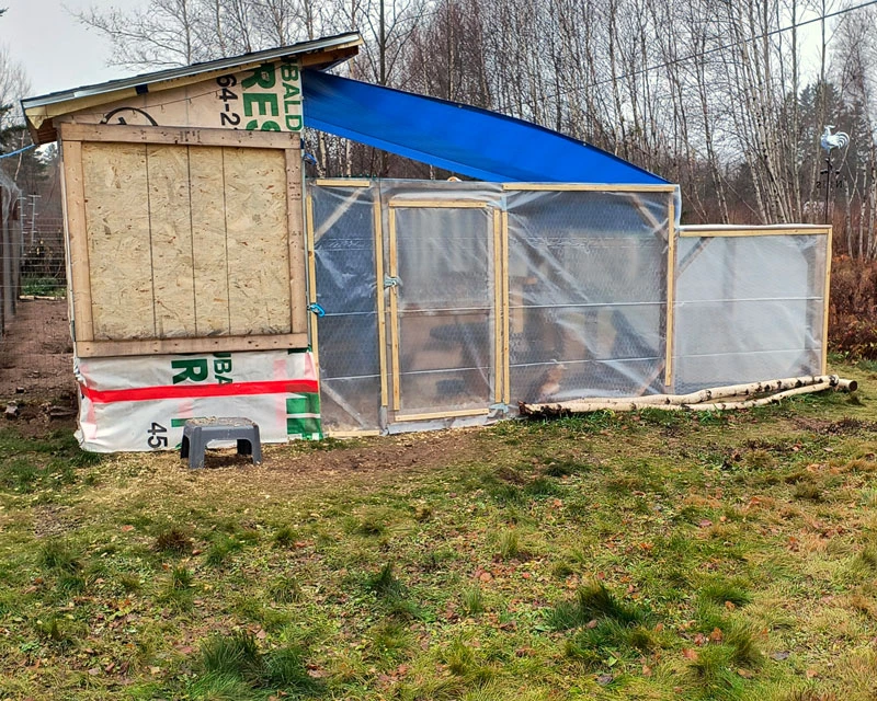 Wrapped chicken run.