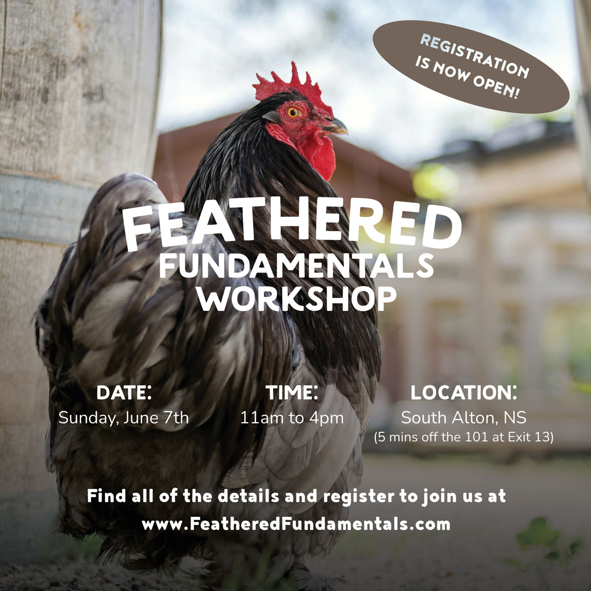 Feathered Fundamentals poster
