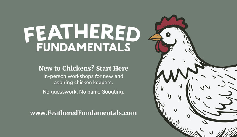 Feathered Fundamentals Banner