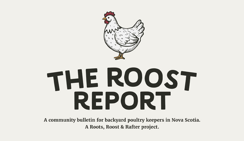 The Roost Report Banner