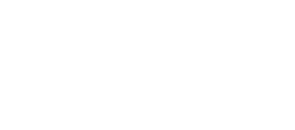 The Flock Party